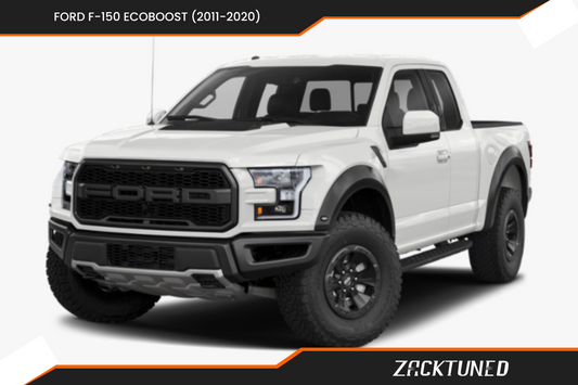 Ford F-150 EcoBoost (2011-2020)