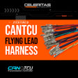 CANTCU Flying Lead Harness with Pre-Crimped Terminals and Labels for Car Wiring