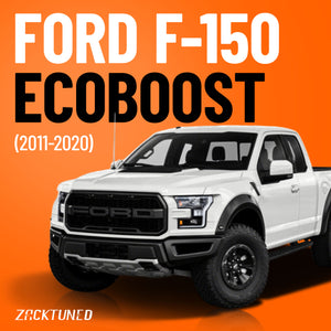 Ford F-150 EcoBoost (2011-2020)