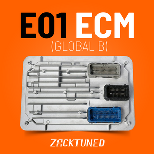 GM E01 ECM Service (Global B)