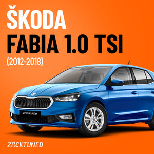 Škoda Fabia 1.0 TSI (2012-2018)